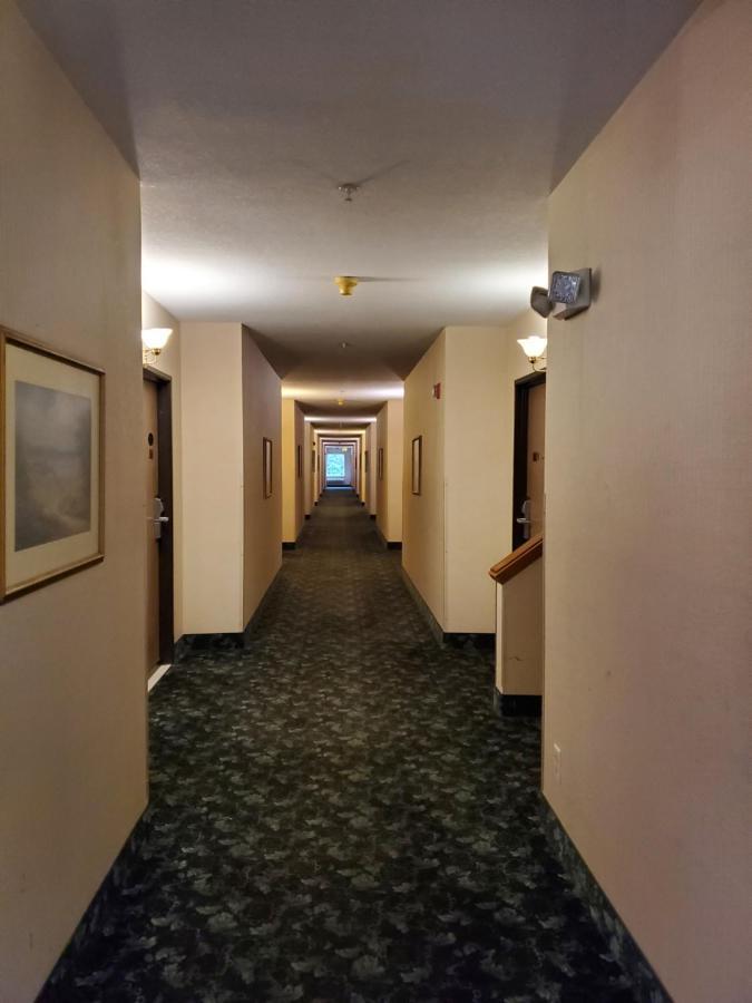 בלינגהאם Bellis Inn מראה חיצוני תמונה