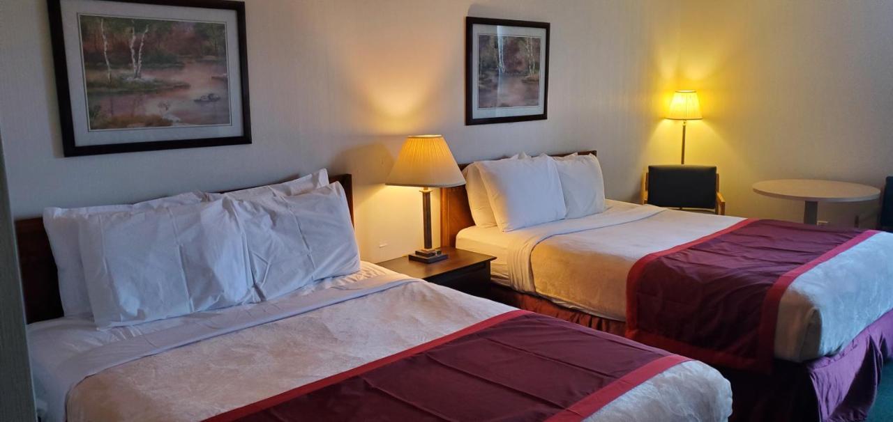 בלינגהאם Bellis Inn מראה חיצוני תמונה