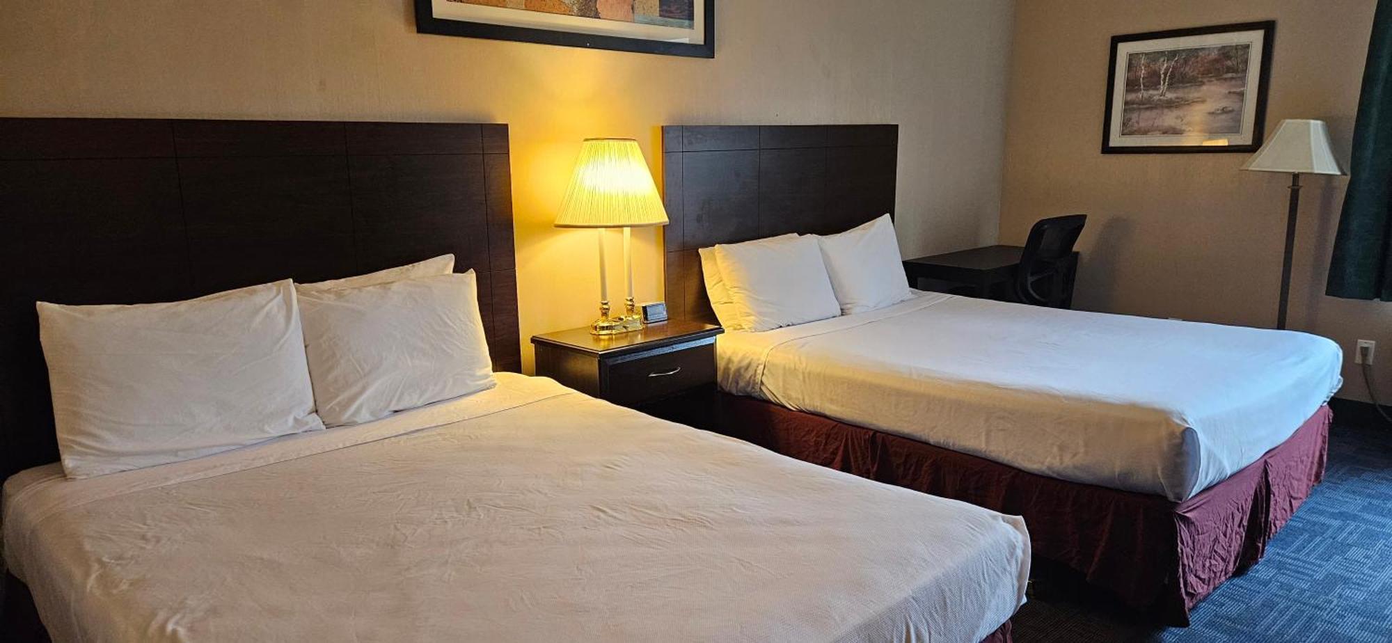 בלינגהאם Bellis Inn מראה חיצוני תמונה