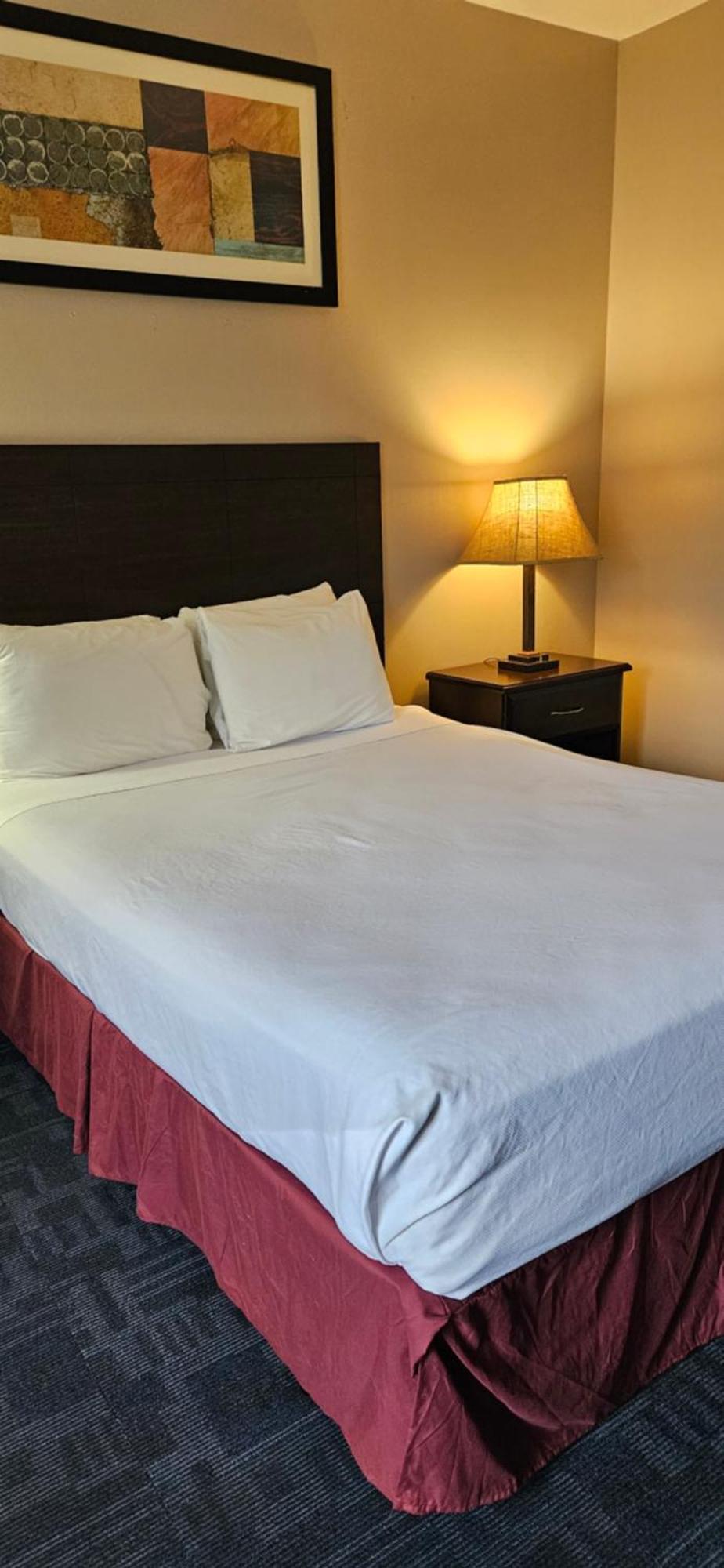 בלינגהאם Bellis Inn מראה חיצוני תמונה
