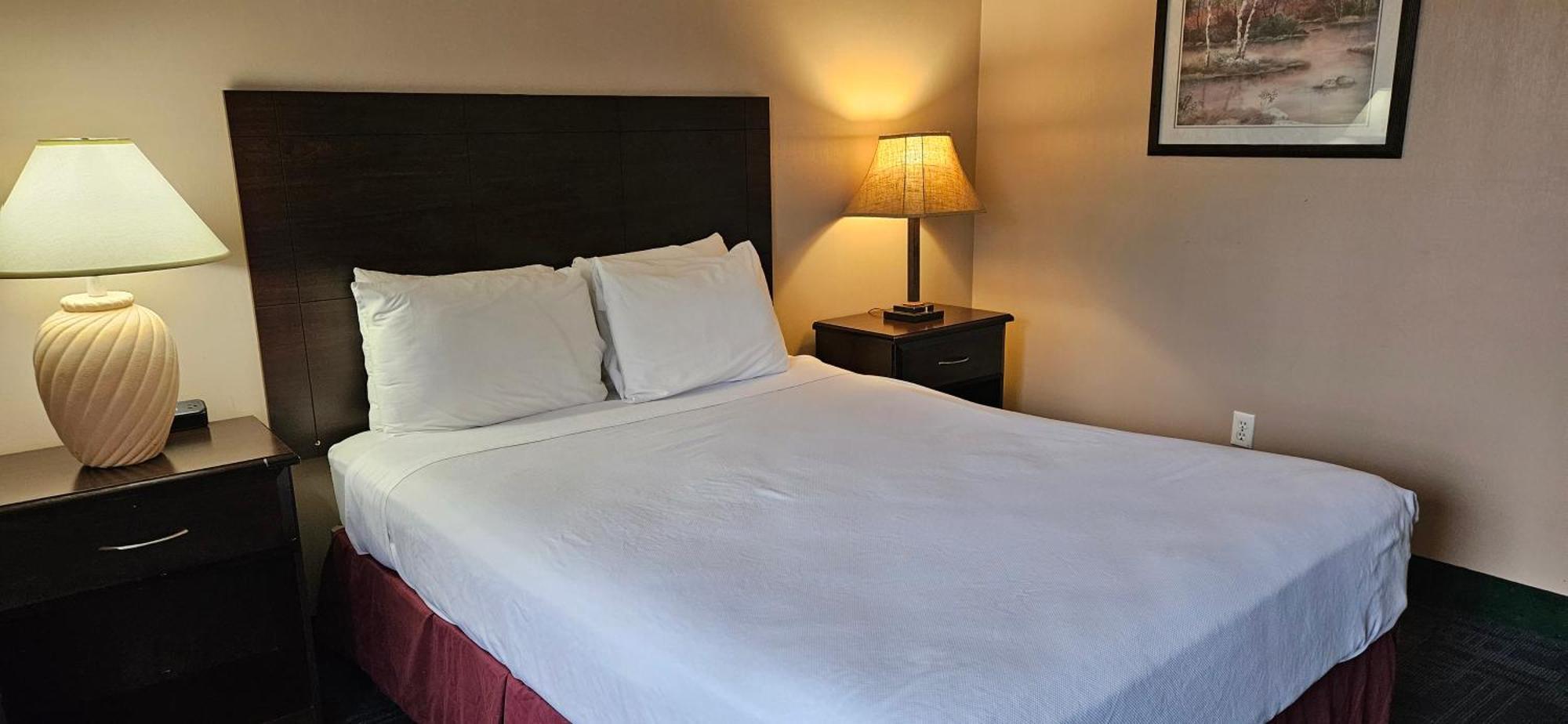בלינגהאם Bellis Inn מראה חיצוני תמונה