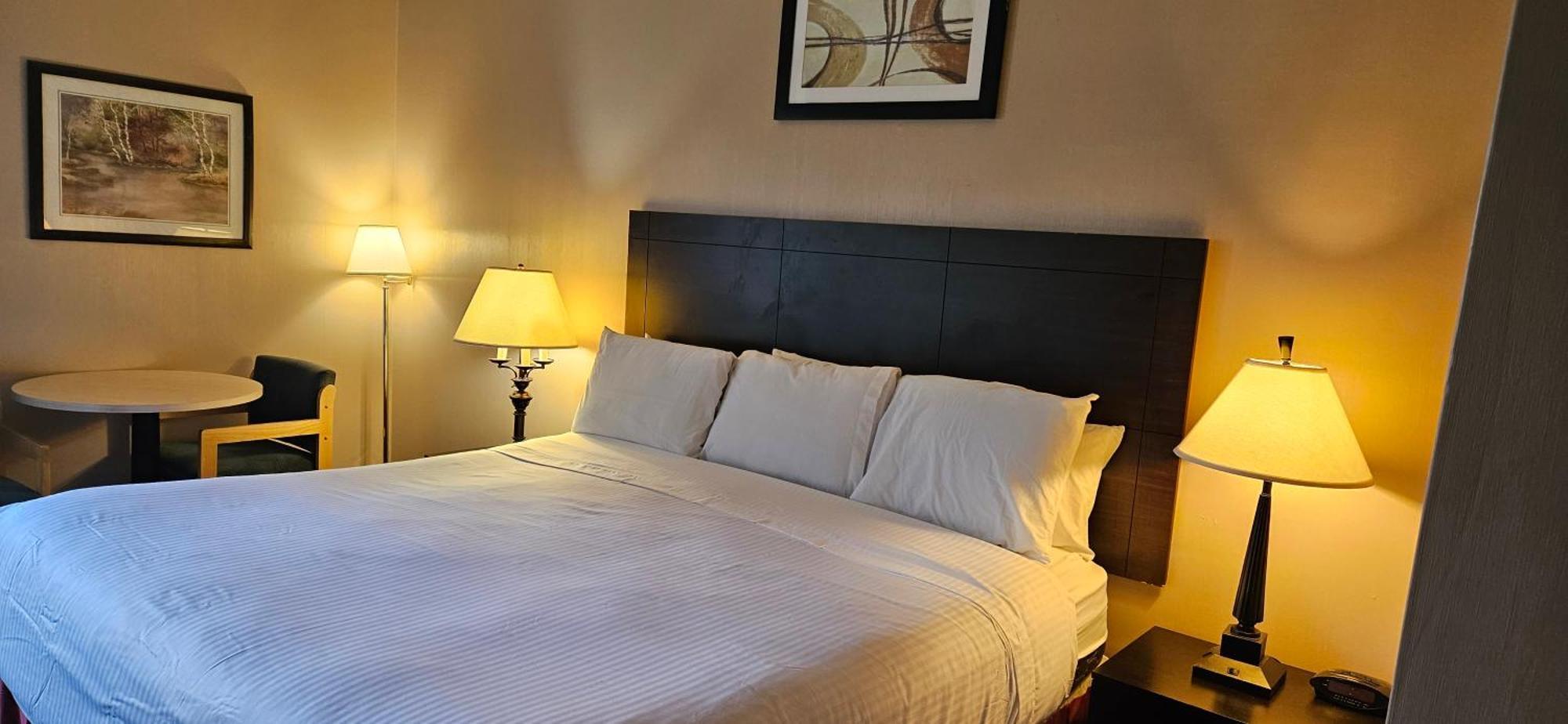 בלינגהאם Bellis Inn מראה חיצוני תמונה